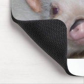 Potbelly Pig en Friend Muismat (Hoek)