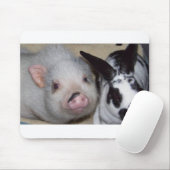 Potbelly Pig en Friend Muismat (Met muis)