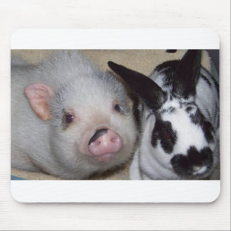 Potbelly Pig en Friend Muismat