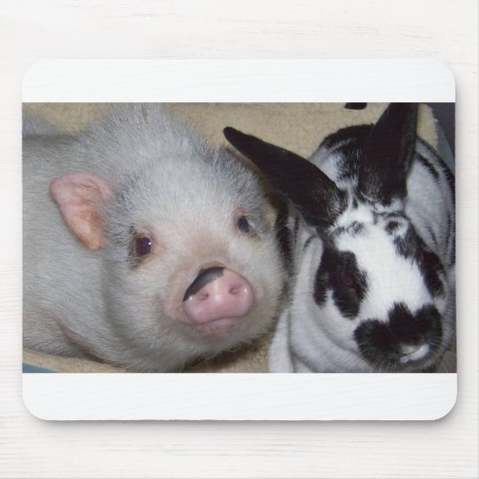 Potbelly Pig en Friend Muismat (Voorkant)