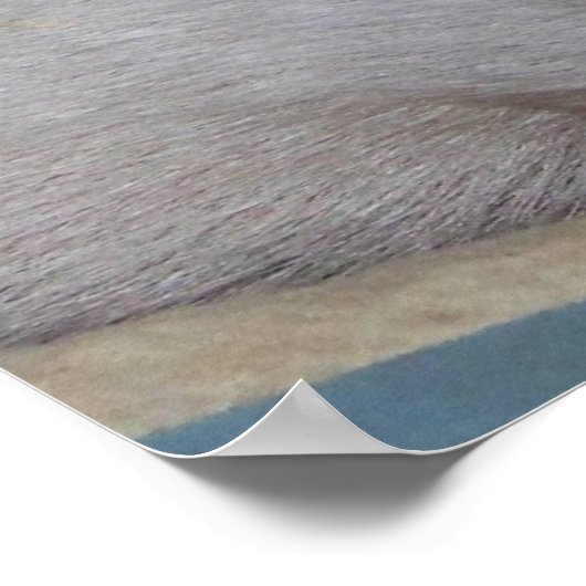 Potbelly Pig en Friend Poster (Hoek)