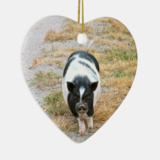Potbelly Pig | Foto van Cute Boerderij Animal Keramisch Ornament (Rechts)