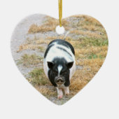 Potbelly Pig | Foto van Cute Boerderij Animal Keramisch Ornament (Voorkant)