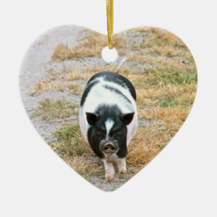 Potbelly Pig   Foto van Cute Boerderij Animal Keramisch Ornament