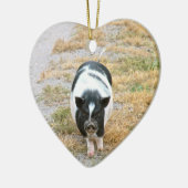 Potbelly Pig | Foto van Cute Boerderij Animal Keramisch Ornament (Links)
