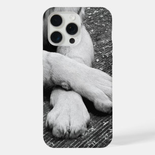 Poten iPhone 15 Pro Max Case