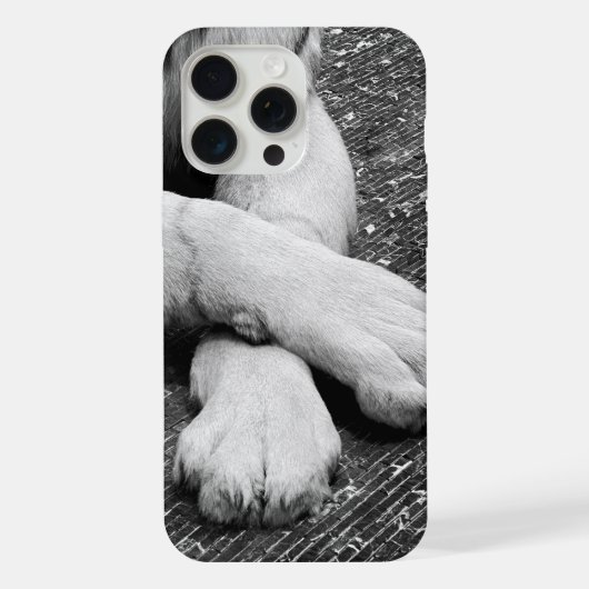 Poten iPhone Hoesje (Achterkant)