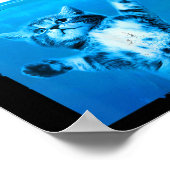 poten kat en muis top poster (Hoek)