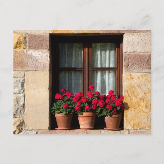 Poten voor bloemen in het dorp briefkaart (Voorkant)