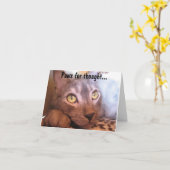 Poten voor Gedachte Ogen Kaart (Gele Bloem)