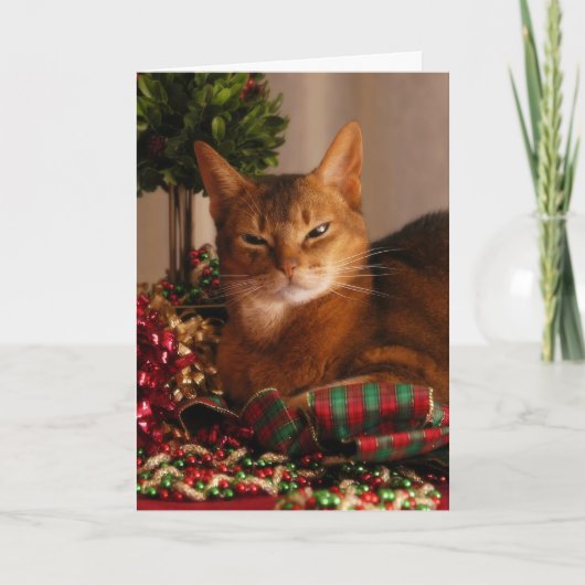 Poten voor het Vakantie Feestdagen Kaart (Voorkant)