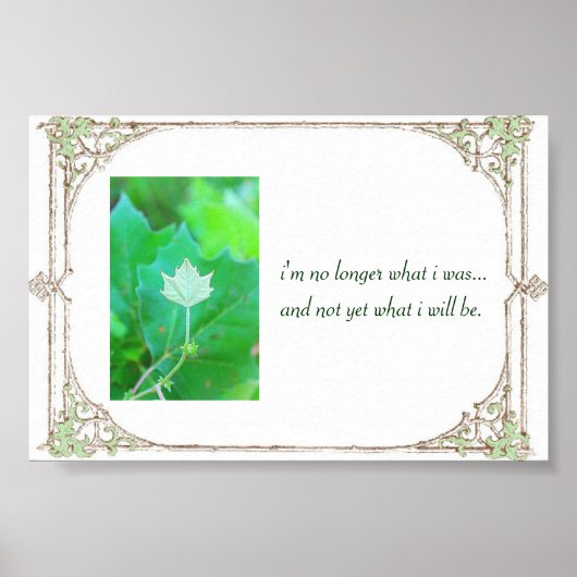 Potentieel Poster (Voorkant)