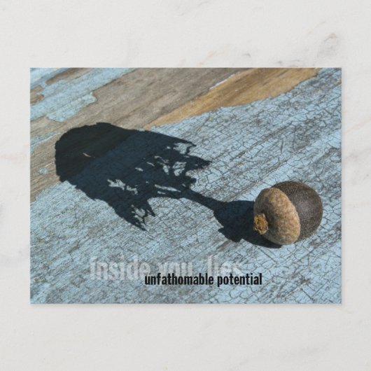 "Potentiële" Briefkaarten (Voorkant)