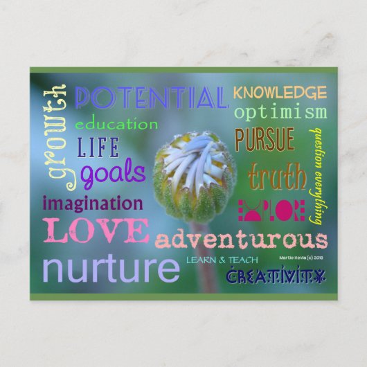 potentiële groei | Blue Beach Song™-Briefkaart Briefkaart (Voorkant)