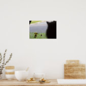 Potentiële lunch - Kat en vogel Poster (Keuken)