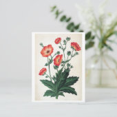"Potentilla Hopwoodiana"  Floral Briefkaart (Staand voorkant)