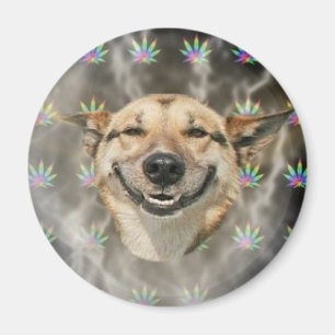 Pothead Dog Magneet