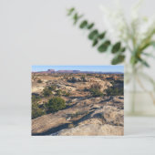 Pothole Point Trail bij Canyonlands National Park Briefkaart (Staand voorkant)