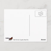 Pothole Point Trail bij Canyonlands National Park Briefkaart (Achterkant)