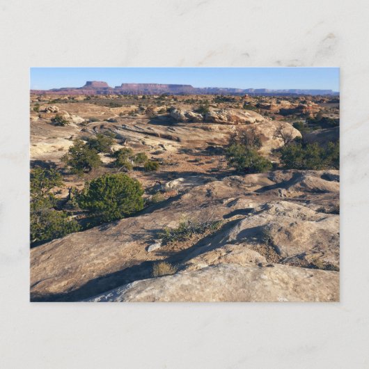 Pothole Point Trail bij Canyonlands National Park Briefkaart (Voorkant)