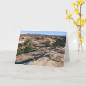 Pothole Point Trail bij Canyonlands National Park Kaart (Gele Bloem)