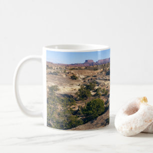 Pothole Point Trail bij Canyonlands National Park Koffiemok