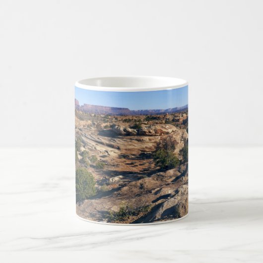 Pothole Point Trail bij Canyonlands National Park Koffiemok (Center)