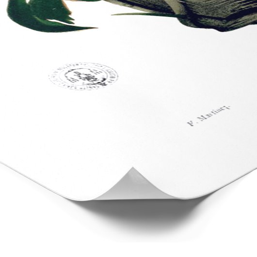 POTHOS? PINATA Botanisch Tropisch Poster van leder (Hoek)