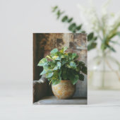 Pothos Plant in een stoel Briefkaart (Staand voorkant)