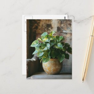 Pothos Plant in een stoel Briefkaart