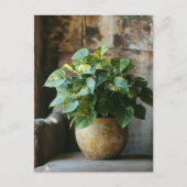 Pothos Plant in een stoel Briefkaart (Voorkant)