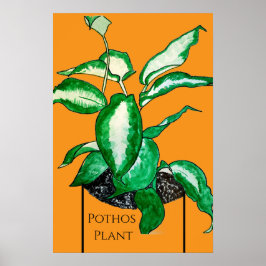 Pothos Plant  Poster