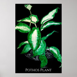 Pothos Plant  Poster