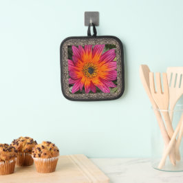 Pothouder met Briljante Magenta Gazania Pannenlap