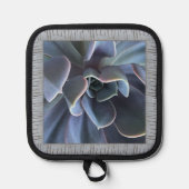 Pothouder met mooie blauwe vetplant pannenlap (Voorkant)