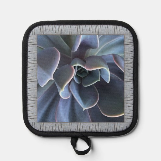 Pothouder met mooie blauwe vetplant pannenlap (Voorkant)