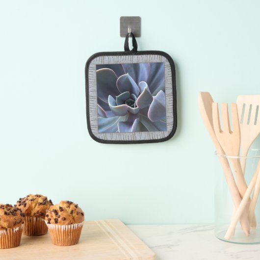 Pothouder met mooie blauwe vetplant pannenlap (Insitu(Ophanging))