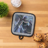 Pothouder met mooie blauwe vetplant pannenlap (Top down)