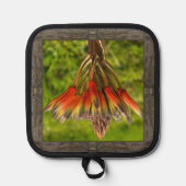 Pothouder met opvallende Oranje Aloë Flower Pannenlap (Voorkant)