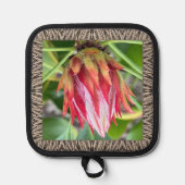 Pothouder met verbluffende Protea Pannenlap (Voorkant)