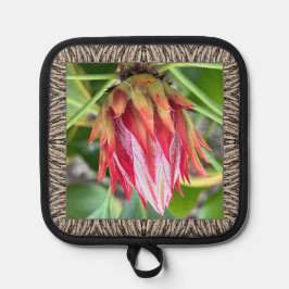 Pothouder met verbluffende Protea Pannenlap