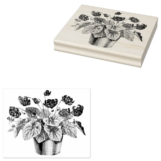  potje Afrikaanse Violet Rubber Kunststempel Rubberstempel (Gestempeld)