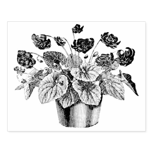 potje Afrikaanse Violet Rubber Kunststempel Rubberstempel (Afrduk)