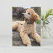 Potje dank je kaart (Staand voorkant)