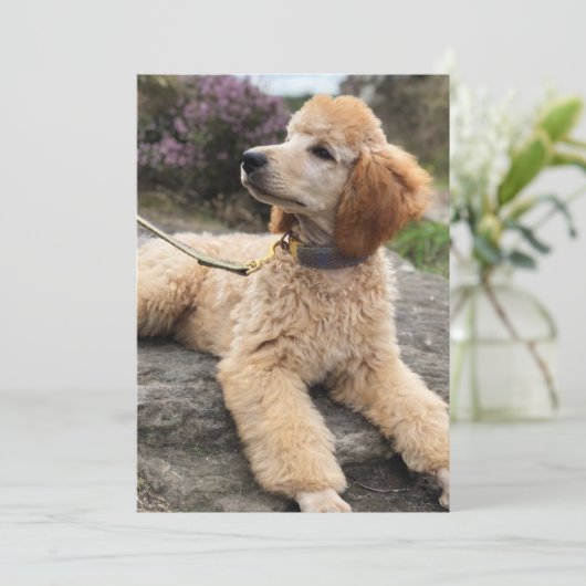 Potje dank je kaart (Staand voorkant)