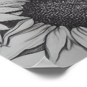 Potlood getekende zonnebloemen poster (Hoek)