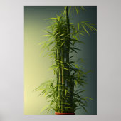 Potlood Natural Lucky Bamboo Poster (Voorkant)