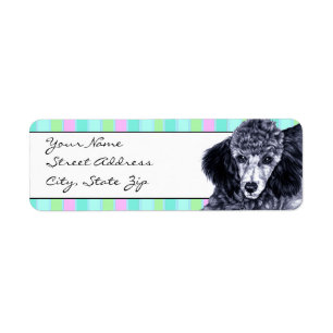 Potlood Poodle Etiket