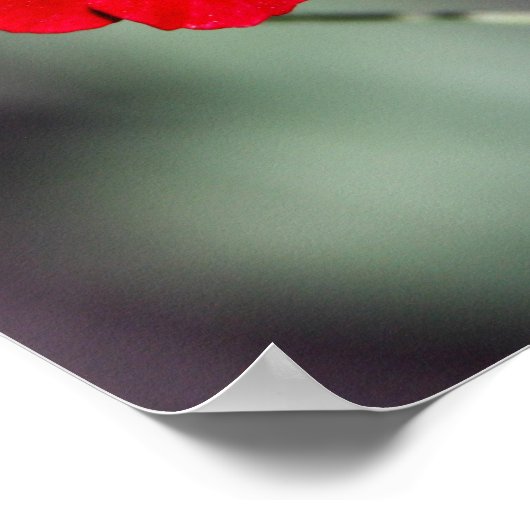 Potlood - rood poster (Hoek)