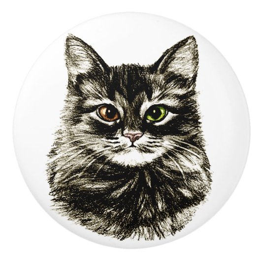 Potlood Tekenbak kat kast wasbak vult knoppen aan (Voorkant)